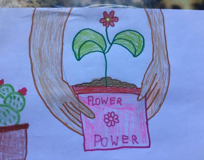 How do PYP students care about the environment?