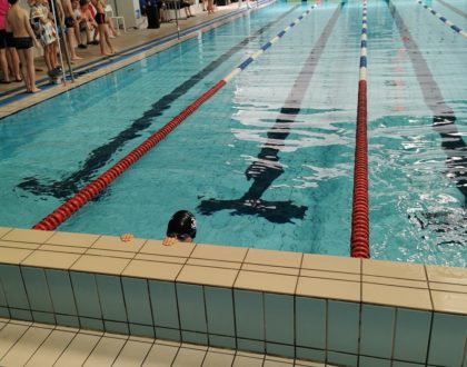 XV Zawody w Pływaniu Niepublicznych Szkół Podstawowych o Puchar Dyrektora SSP 10